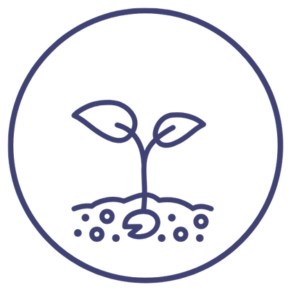 Icon representing Early Stage Startups