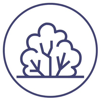 Icon representing rapidly growing startups